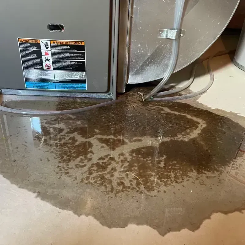 Appliance Leak Cleanup in Eagle, CO